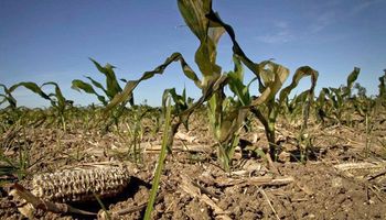 Entre Ríos: estiman que las pérdidas por sequía equivalen a un año de la recaudación provincial