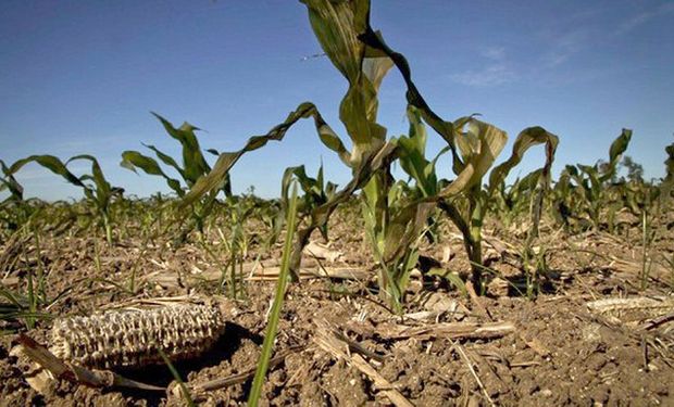 Boc Ho puntualizó en el escrito que "el potencial del campo" en Entre Ríos "no puede estar ligado sólo al clima".