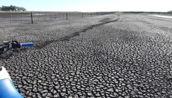 La zona pampeana transfirió regalías sojeras por más de $ 920 millones