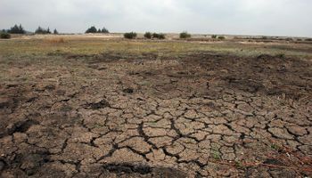 Las últimas lluvias le dieron la estocada final a la peor sequía en 50 años