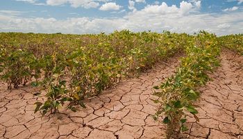 Así se ve la peor sequía en 40 años desde el aire