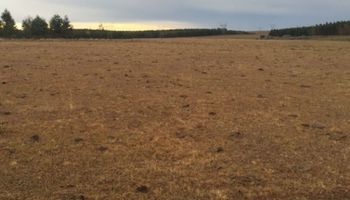 Uruguay: impacto de seca ya tiene piso de unos US$ 300 millones