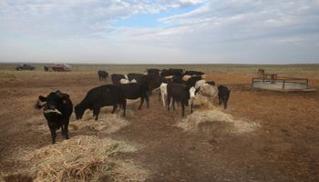 Santa Fe se suma a la emergencia agropecuaria por sequía