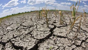 Sequía amenaza con dañar soja y maíz en Córdoba