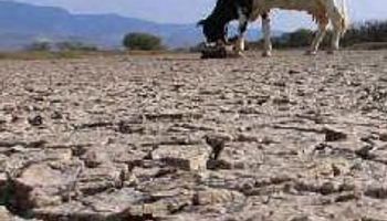 Más de 27 mil desocupados por sequía y heladas