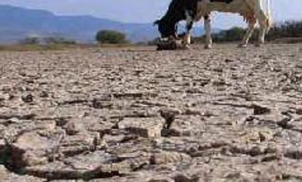 Más de 27 mil desocupados por sequía y heladas