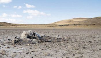 Una región de nuestro país afronta una de las peores sequías en 60 años