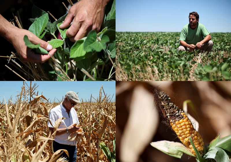 noticiaspuertosantacruz.com.ar - Imagen extraida de: https://news.agrofy.com.ar/noticia/212060/asi-refleja-agencia-internacional-desesperacion-productores-argentinos