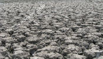 La sequía en Salta expulsa a los pequeños productores