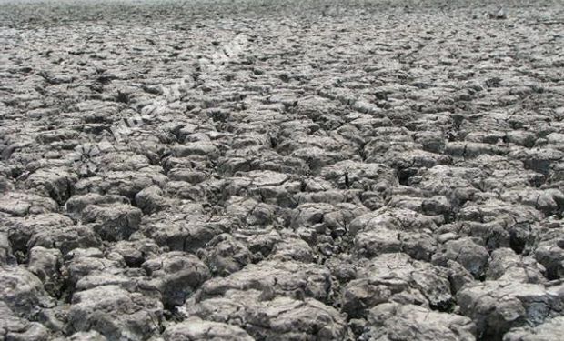 La sequía en Salta expulsa a los pequeños productores