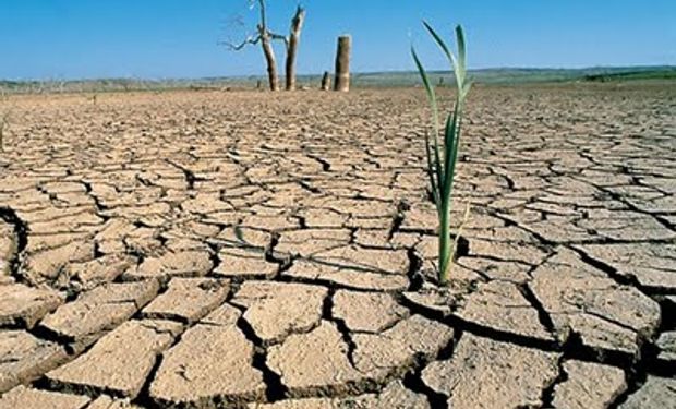 Piden que se declare emergencia agropecuaria