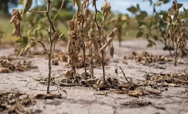 La Niña: alerta por el primer "episodio triple" del siglo