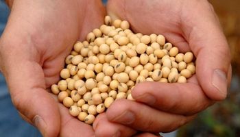 La soja se vendió a $72.500 y motivó ventas, pero frenó la comercialización de trigo y maíz