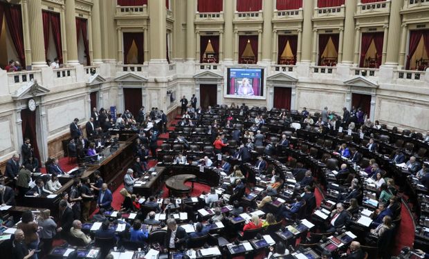 Diputados dio media sanción al régimen de productos orgánicos