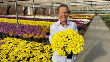 Setor de flores projeta alta de 7% nas vendas no Dia de Finados