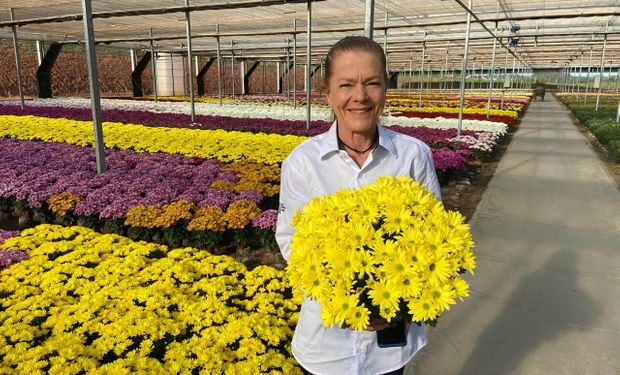produtora Maritha Domhof, do Rancho Raízes, em Holambra (SP), apostou neste ano em variações rosadas e bicolores