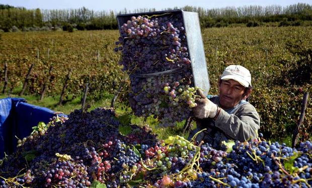 Cortocircuito entre Mendoza y San Juan por el convenio vitivinícola.