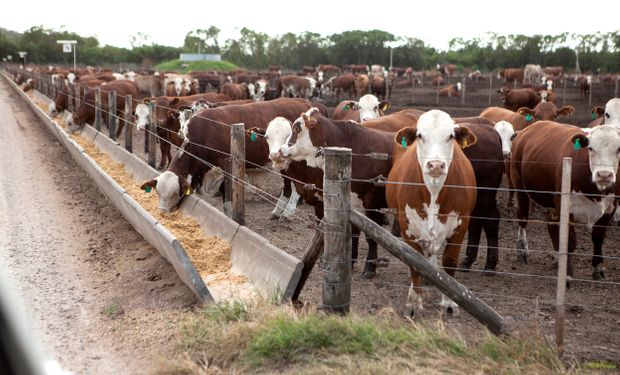 El adelantamiento de encierre en feedlots anticipa una tensión en los precios de la carne hacia fin de año