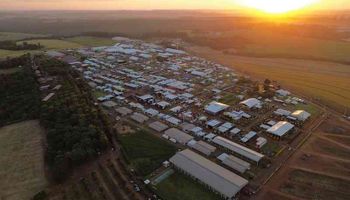 Show Rural 2026 supera meta e chega a 368 mil visitantes um dia antes do fim