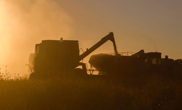 Impacto de la Ley en el sector agropecuario.