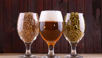 Brasil tem mais de 43 mil cervejas cadastradas no Ministério da Agricultura