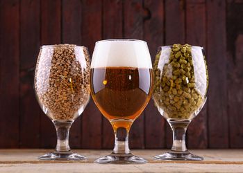 Brasil tem mais de 43 mil cervejas cadastradas no Ministério da Agricultura