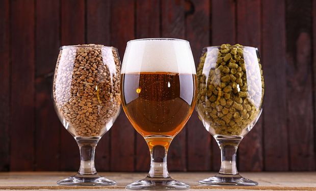 Brasil tem mais de 43 mil cervejas cadastradas no Ministério da Agricultura