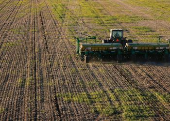 Trigo en duda y decisiones claves de ventas en la gruesa: qué hacer en un escenario de márgenes ajustados y volatilidad