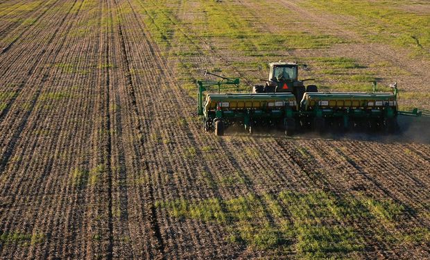Se recuperó la siembra de trigo y ya cubrió el 90 % de la zona núcleo