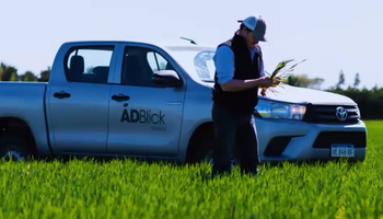 La estrategia que “blinda” a la empresa de agro de 73.000 hectáreas con precios más altos que el mercado y el planteo para aprovechar una oportunidad de “oro” en carne