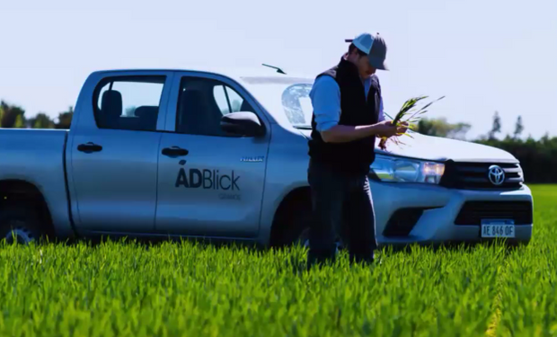 La estrategia que “blinda” a la empresa de agro de 73.000 hectáreas con precios más altos que el mercado y el planteo para aprovechar una oportunidad de “oro” en carne