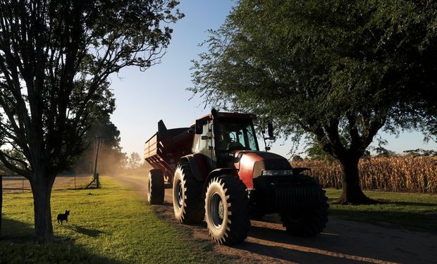 ¿Los dueños del agro? Quiénes están detrás de los 15 mayores grupos de siembra del país