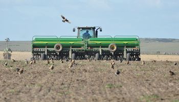 Avanza la siembra de trigo y se espera un aumento de la superficie cercano al 10 % en el centro y norte de Santa Fe 