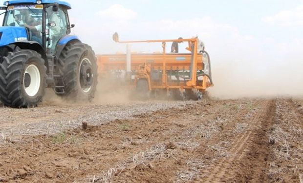 Día de la Agricultura Nacional: por qué se celebra hoy