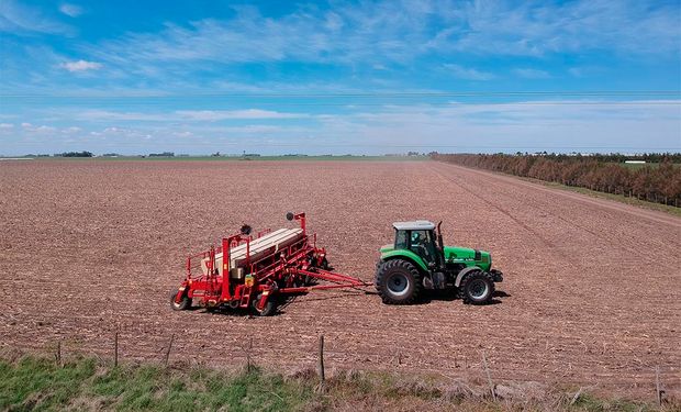 Se recargaron los perfiles de Buenos Aires, Córdoba y Santa Fe y comenzó la siembra de maíz