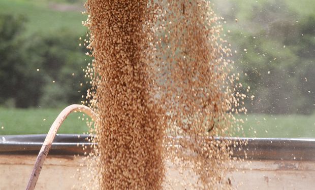 La siembra de soja crecerá por primera vez en siete años: las razones