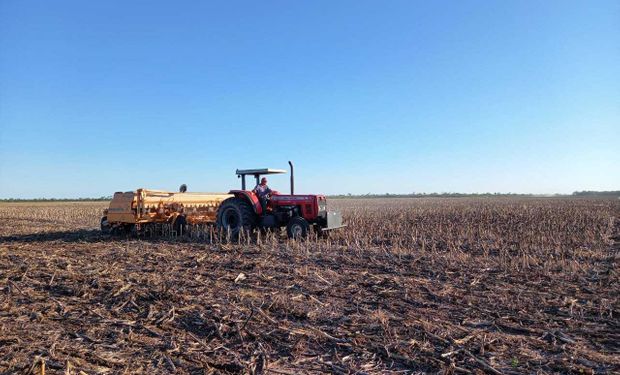 Soja: cuánto rinde se pierde por cambiar la fecha de siembra y cómo se puede atenuar el impacto