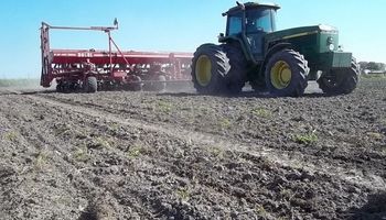 Santa Fe: la siembra de girasol tiene un retraso de 7 puntos 