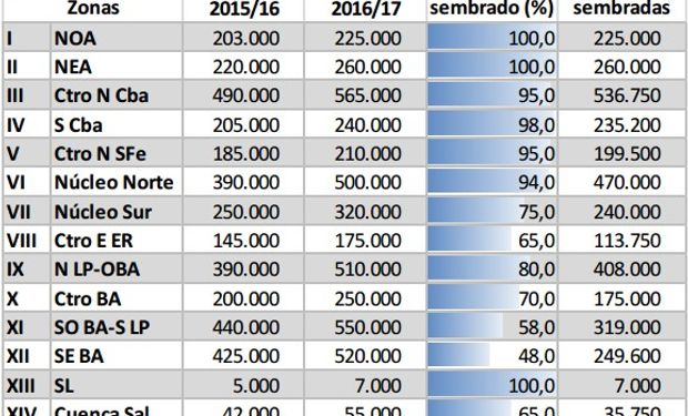 Fuente: Bolsa de Cereales de Buenos Aires.