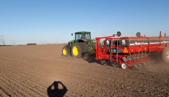 Maíz, más allá de las retenciones: productores comparten imágenes de la siembra