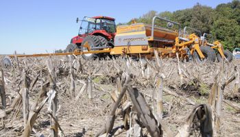Soja: podría caer más la superficie nacional por la falta de lluvias