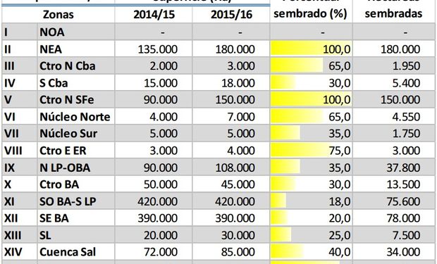 Siembra de girasol.