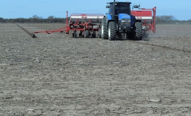 Comenzó la siembra de los primeros lotes de girasol 16/17.