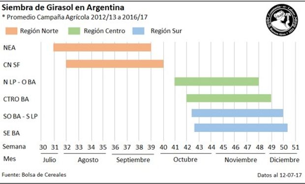 Buenos Aires: incertidumbre de cara a la siembra de girasol | Agrofy News