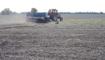 Santa Fe: se puso en marcha el proceso de siembra de girasol