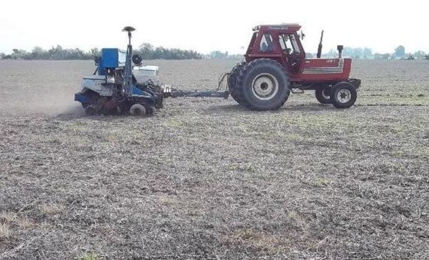 Lote de rastrojo de soja en pleno proceso de siembra de girasol, con buena disponibilidad de agua en la cama de siembra, en el norte del departamento San Justo.-