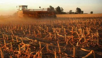 ¿Se activa un proceso de inversiones en el sector?