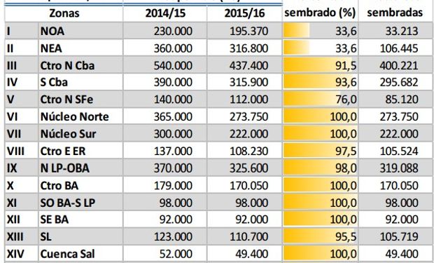 Siembra de maíz. Datos al 7 de enero. Fuente: BCBA.