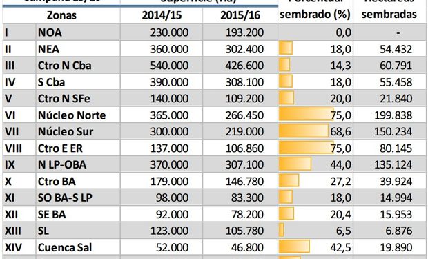 Avance se siembra de maíz. Datos al: 22/10/2015. Fuente: BCBA.