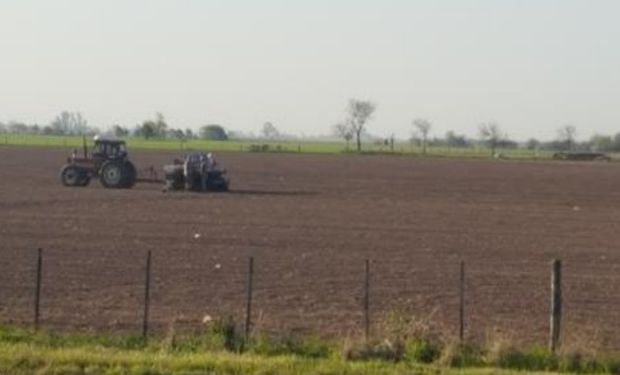 Lote de rastrojo de soja, en pleno proceso de siembra de maíz de primera, en el centro oeste del departamento Castellanos.-